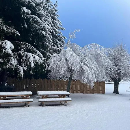 Oda ve Kahvaltı Le Relais D'avajan